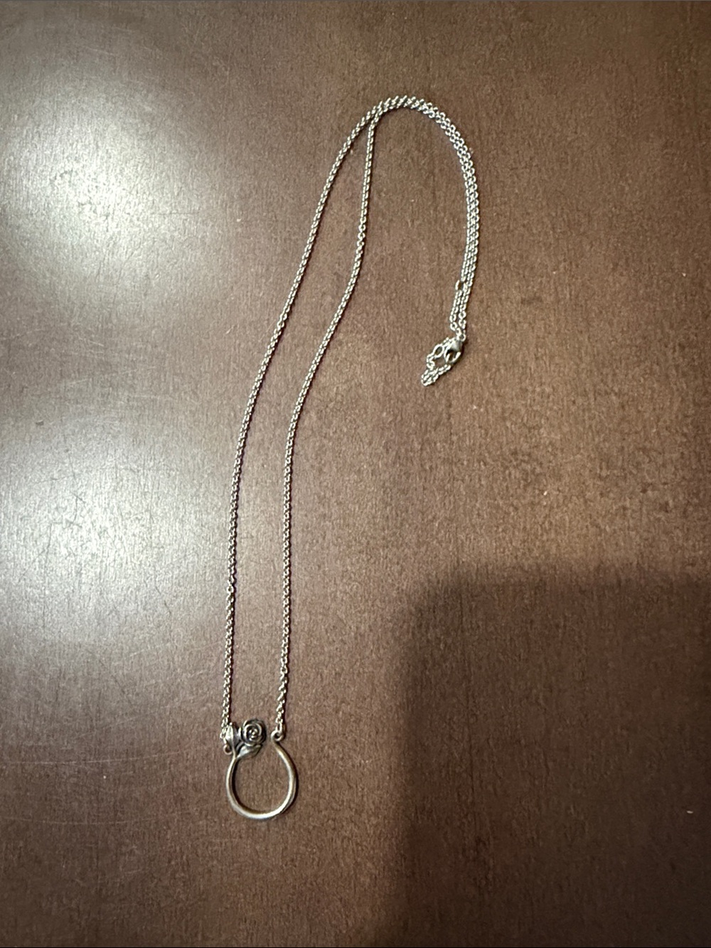 James Avery Silver Circle Pendant Necklace with Twisted Accent